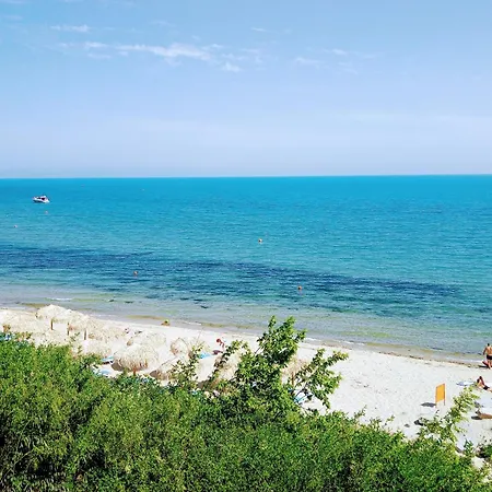 Messambria - Bastet Bs * 써니비치